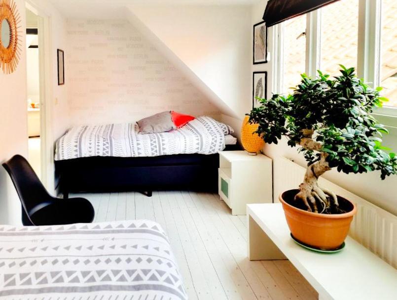 Appartement B&B Pandhouse Oud-Beijerland Eksteriør bilde